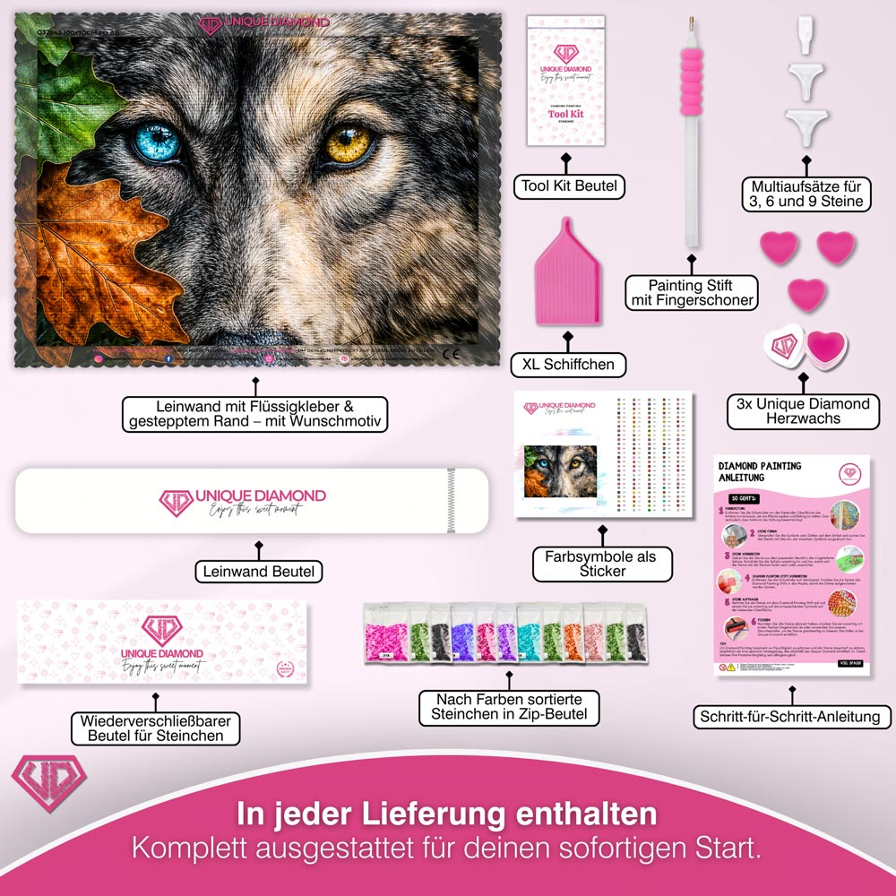 5D Diamond Painting - Wolfsblick der Elemente