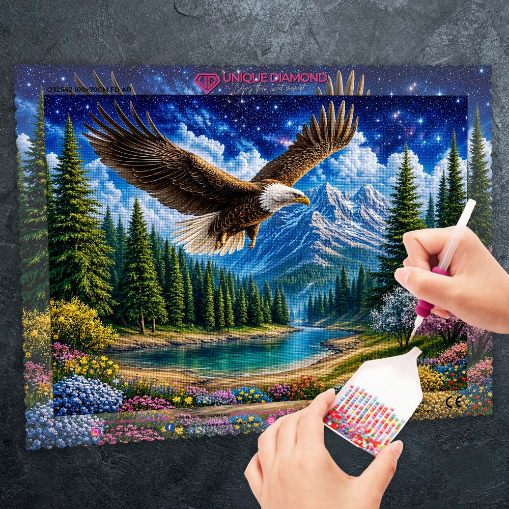 5D Diamond Painting – Adlerflug unter Sternenhimmel