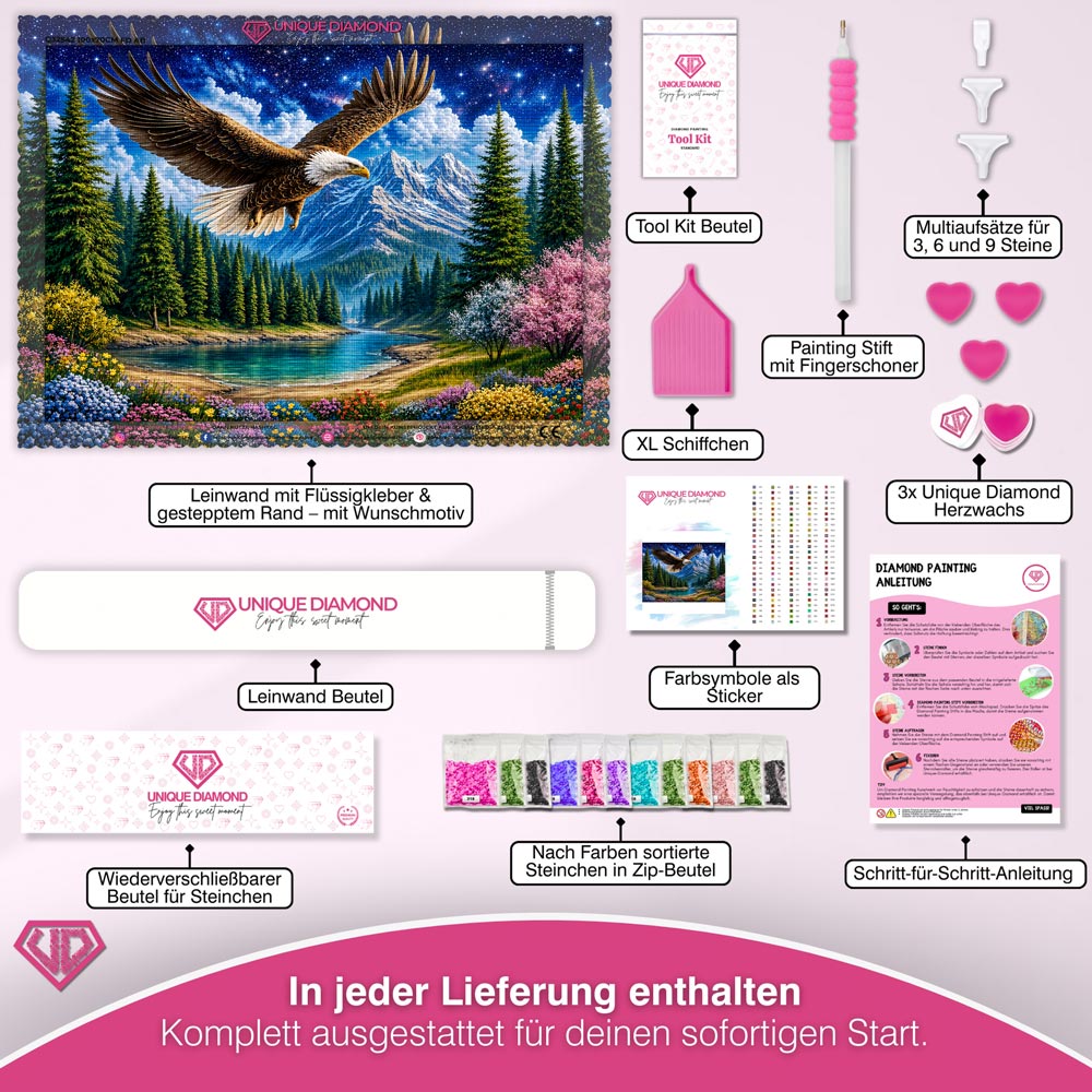 5D Diamond Painting – Adlerflug unter Sternenhimmel
