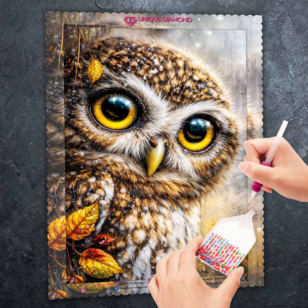 5D Diamond Painting – Eule Arion im Herbstregen