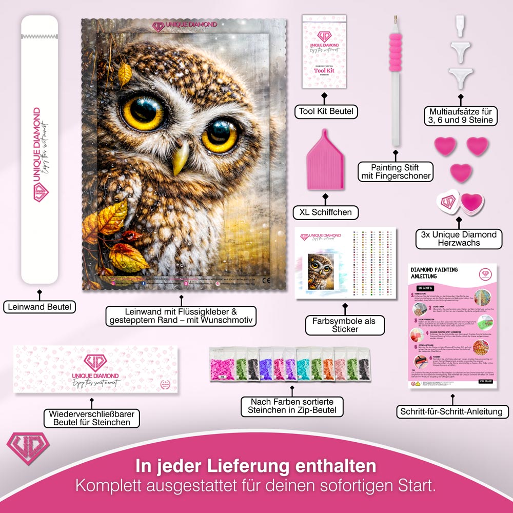 5D Diamond Painting – Eule Arion im Herbstregen
