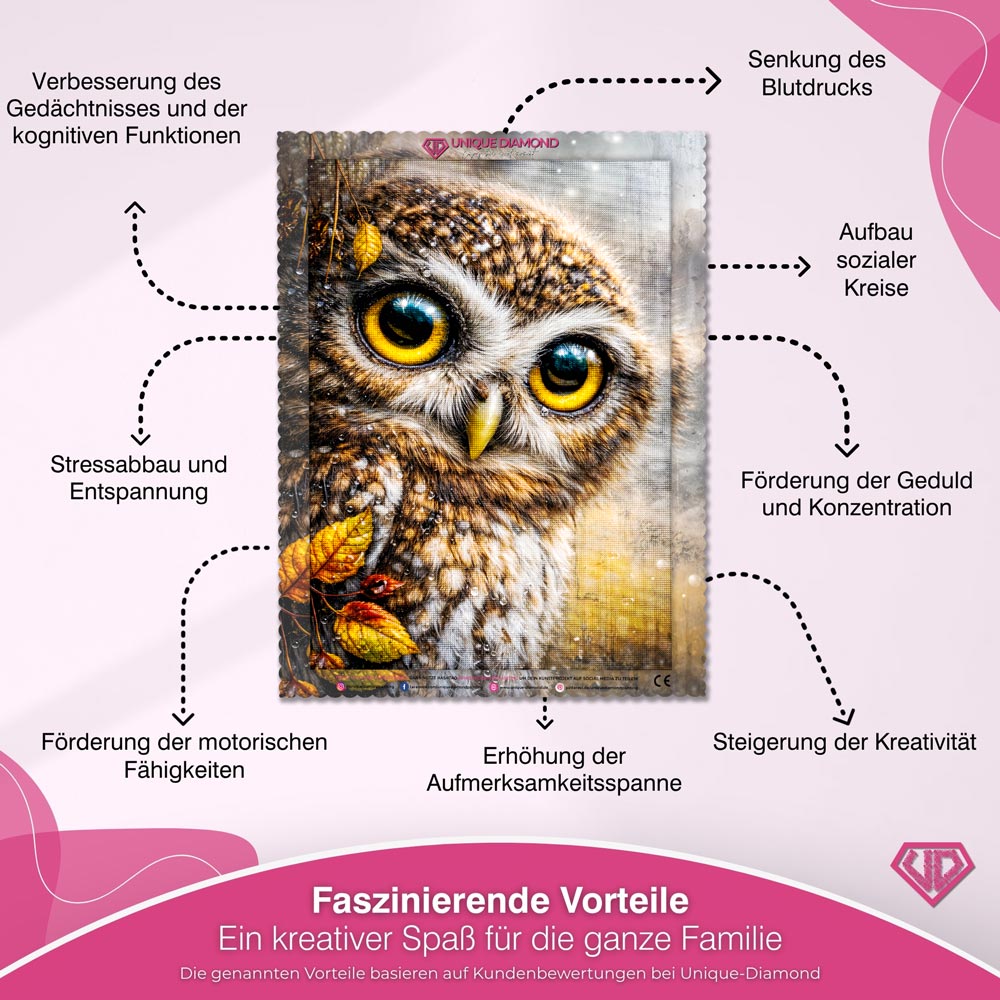 5D Diamond Painting – Eule Arion im Herbstregen