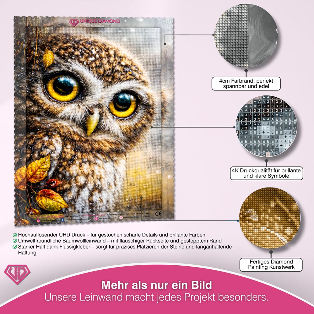 5D Diamond Painting – Eule Arion im Herbstregen