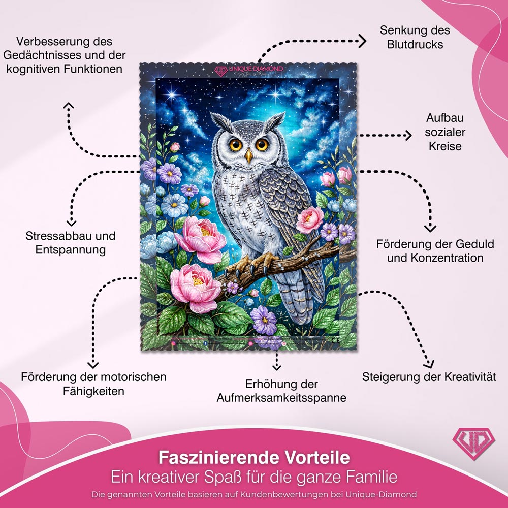 5D Diamond Painting – Eule unter dem Sternenhimmel