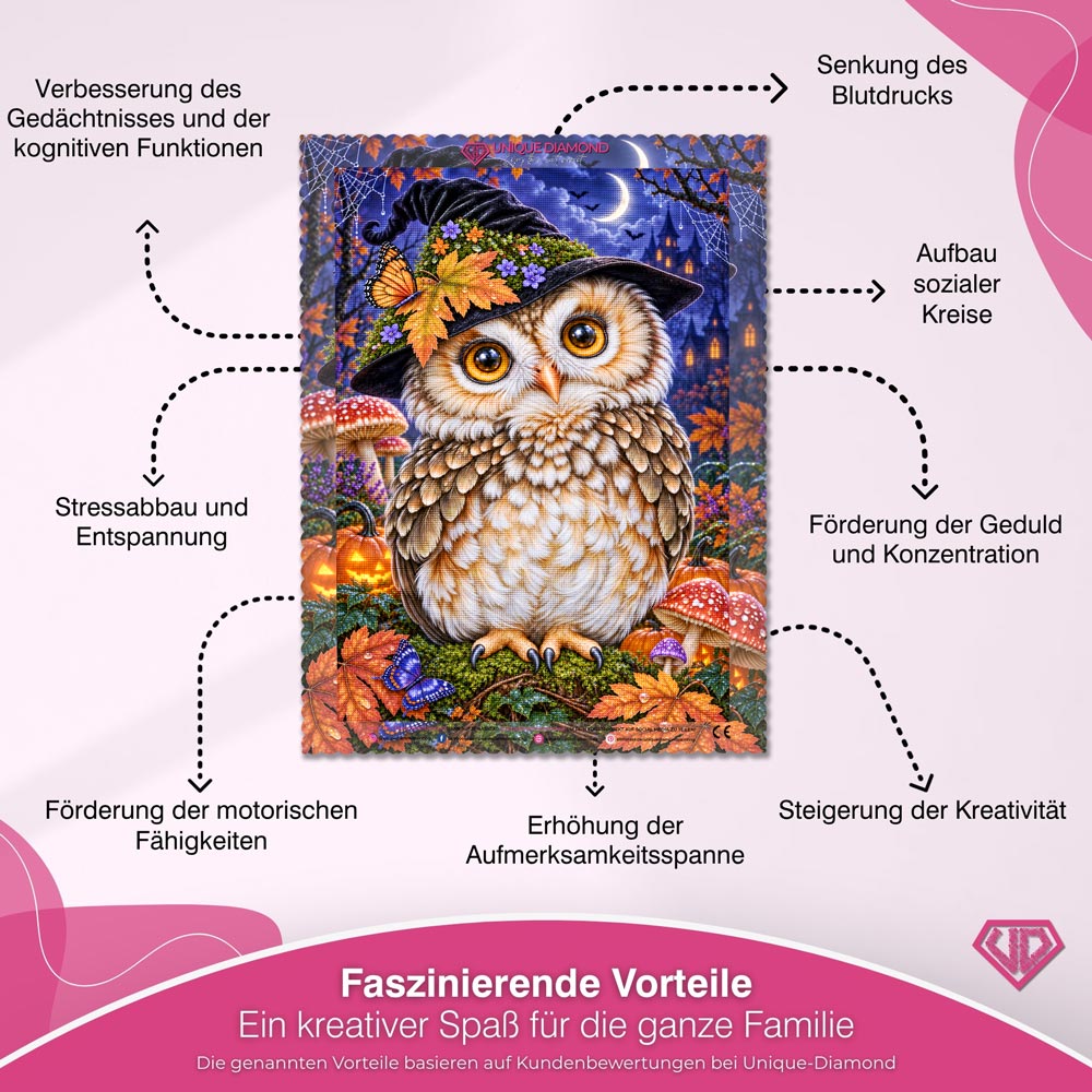 5D Diamond Painting – Eulenzauber im Herbstmond