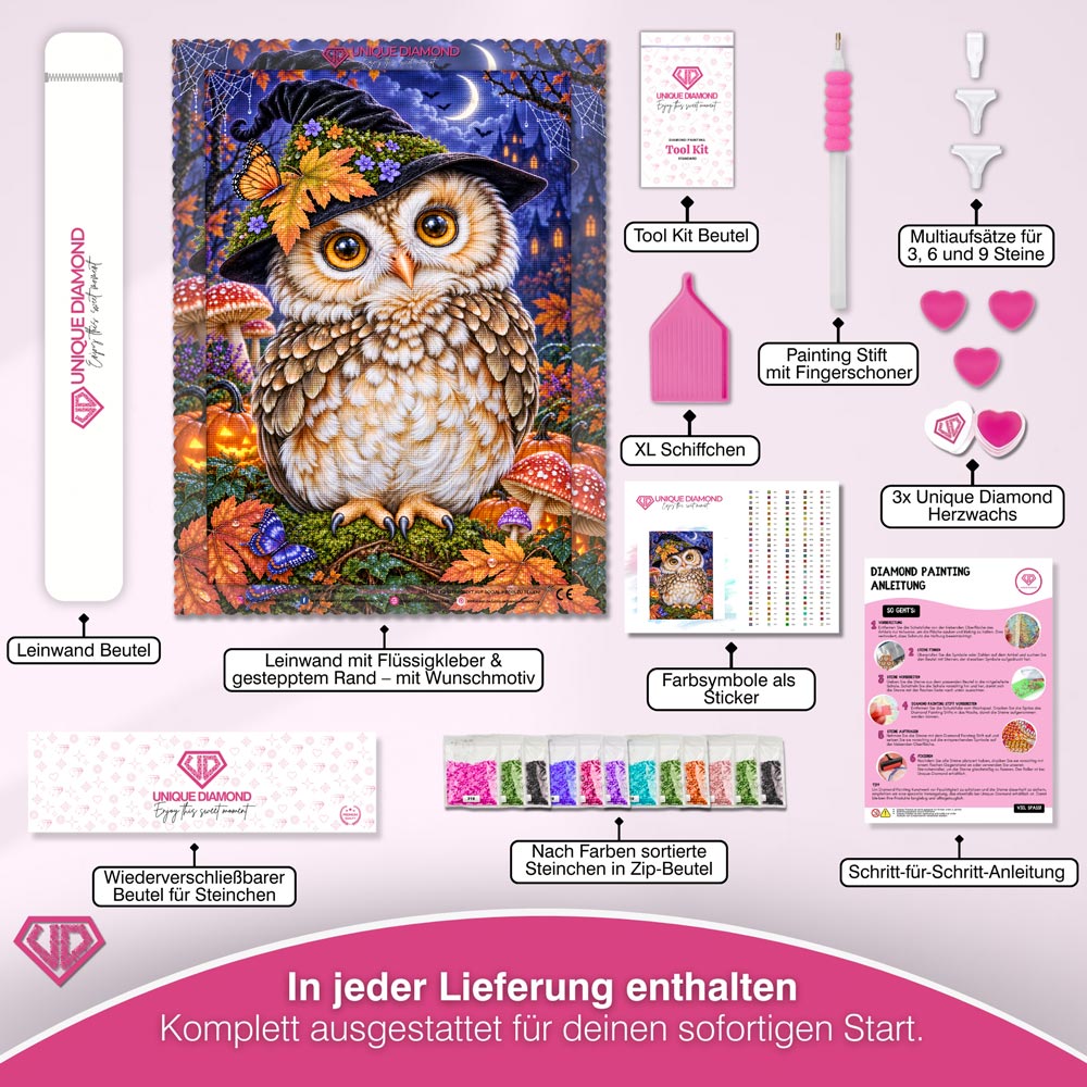 5D Diamond Painting – Eulenzauber im Herbstmond