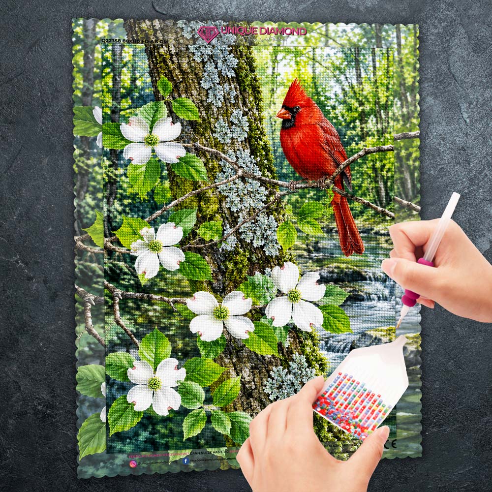 5D Diamond Painting – Kardinal im Blütenwald