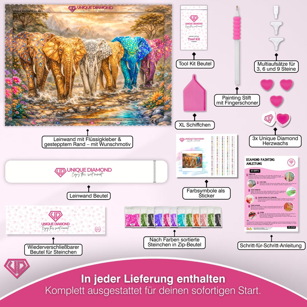 5D Diamond Painting – March of Colors Unique-Diamond