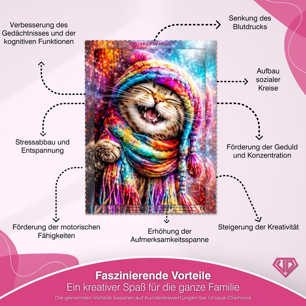 5D Diamond Painting – Rainbow Winter Cat