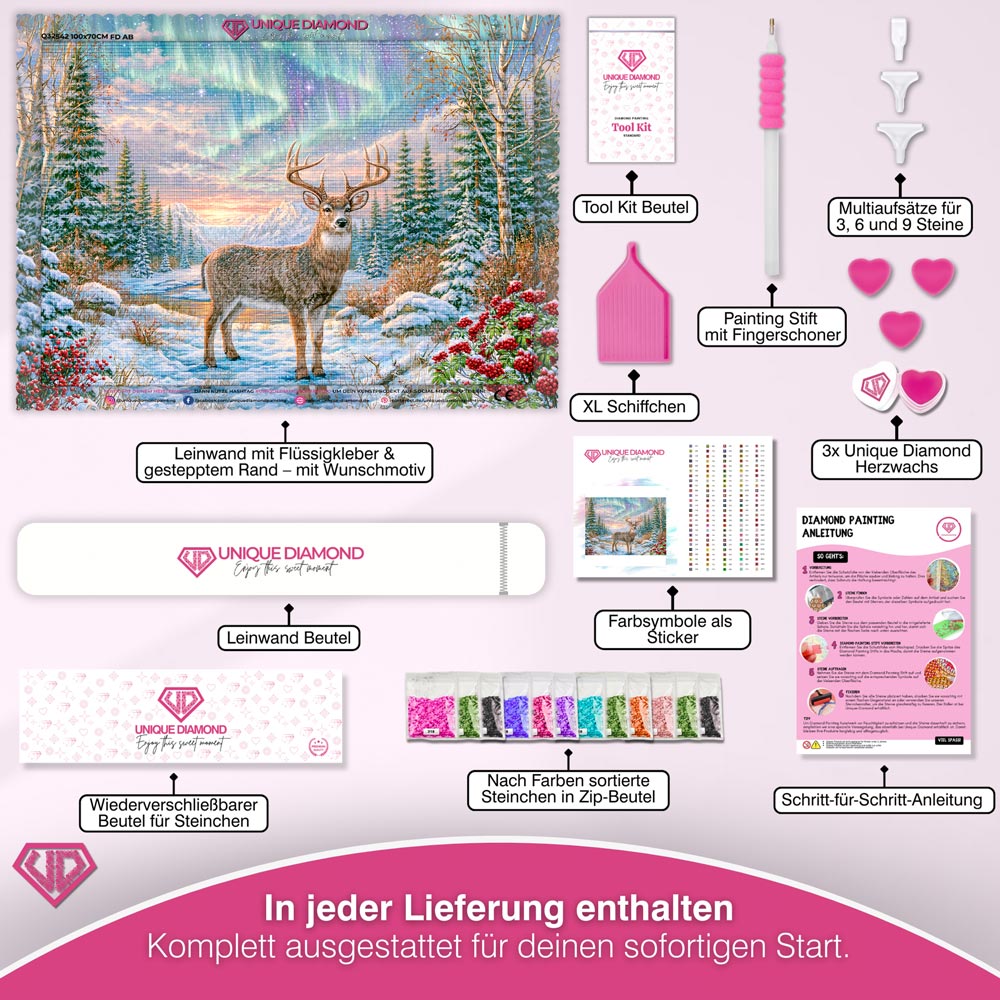 5D Diamond Painting – Wächter des Nordlichts