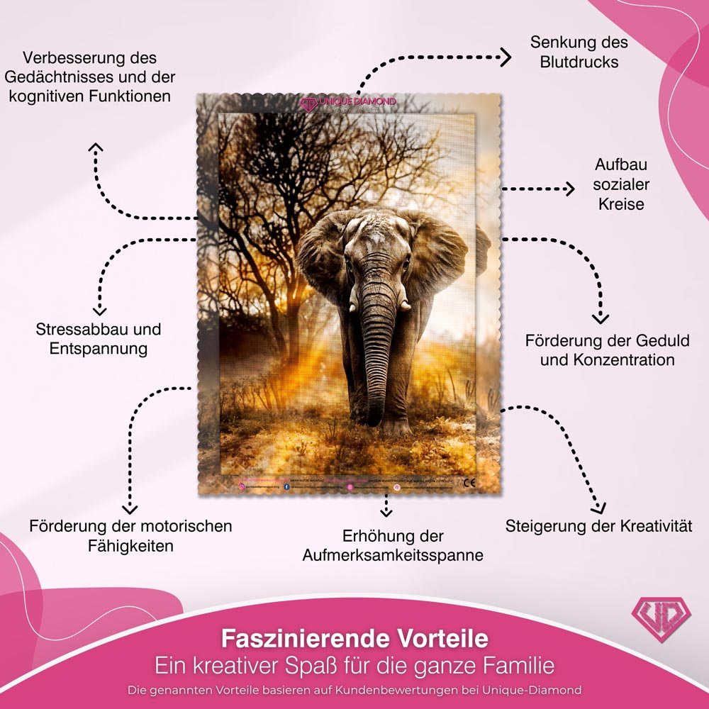 5D Diamond Painting – Afrikanischer Elefant Unique-Diamond