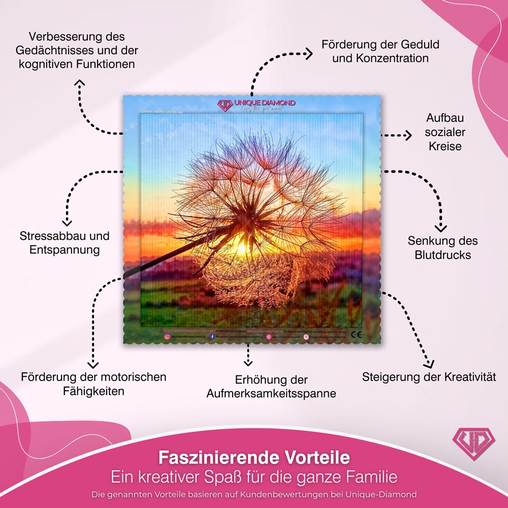 5D Diamond Painting – Pusteblume bei Sonnenuntergang Unique-Diamond