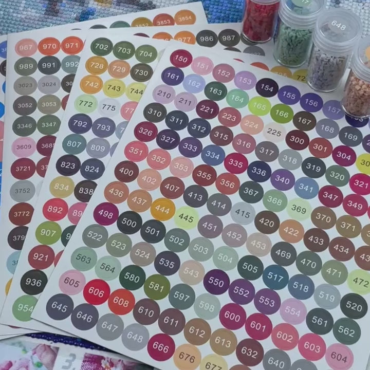 Diamond Painting 572 Runde DMC Etiketten
