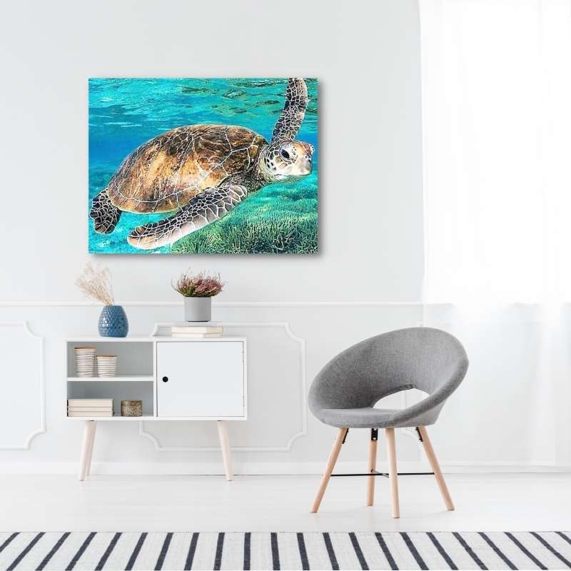 5D Diamond Painting Alte Schildkröte - Unique-Diamond