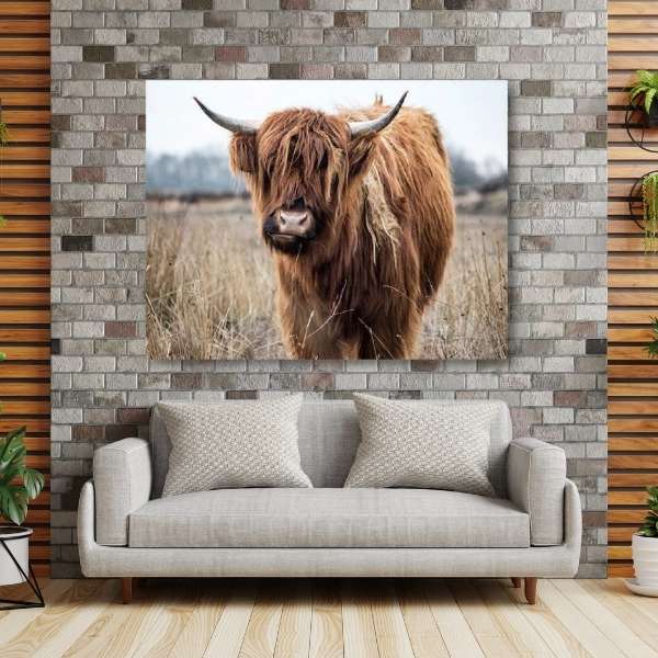 5D Diamond Painting Hochlandrind - Unique-Diamond