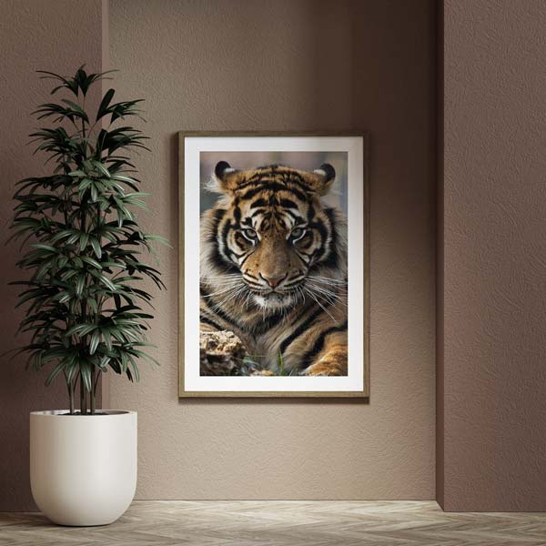 5D Diamond Painting Tiger Portrait - Unique-Diamond